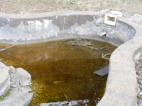 This abandoned pool is a potential mosquito habitat.