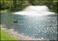 Pond aerators like the one pictured improve water quality and suppress mosquitoes and their laying of eggs.